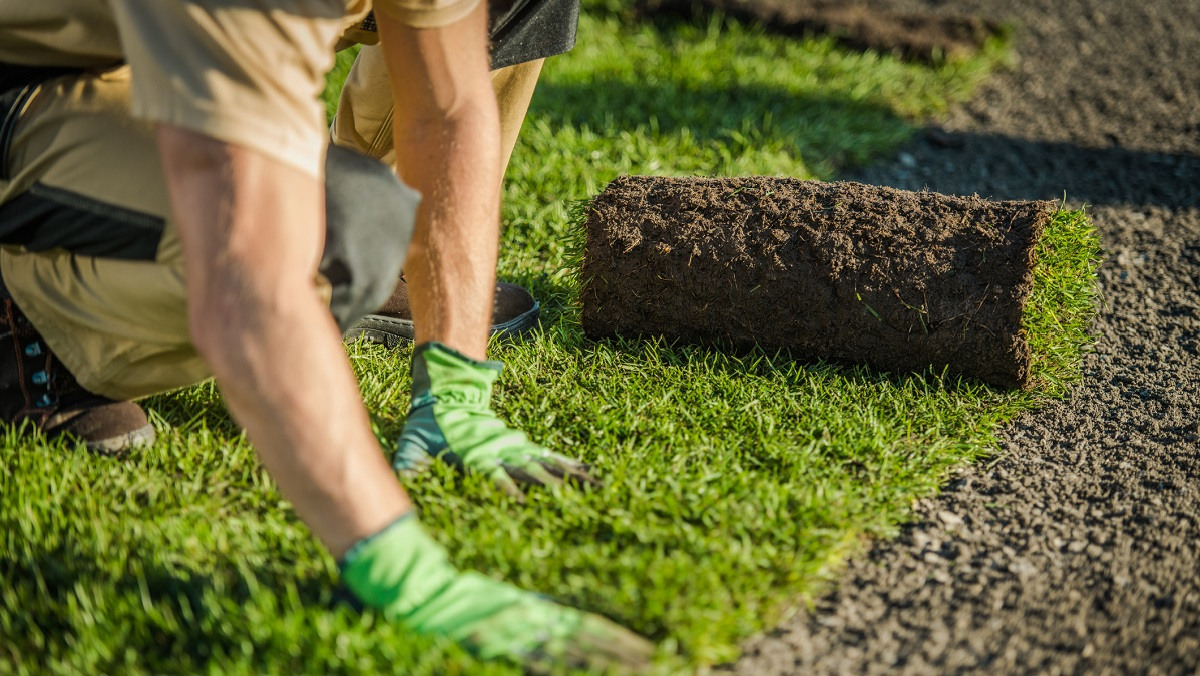 Close up of man laying sod.